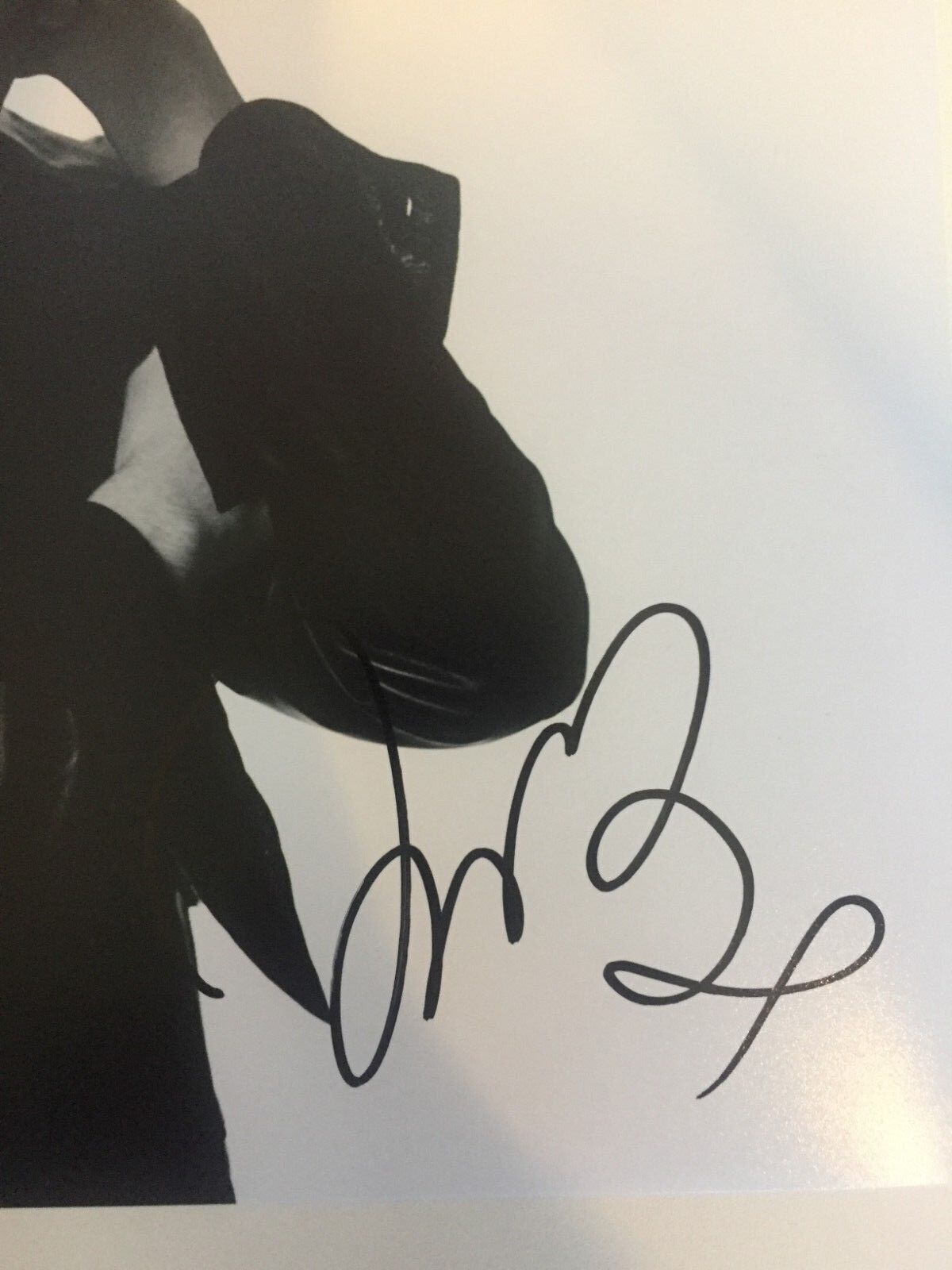 Photo 12x12 autographiée de James Bay 2