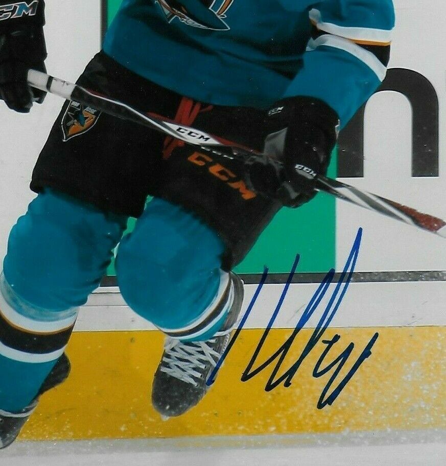 Autographed San Jose Sharks Tomas Hertl 8x10 Photo Original