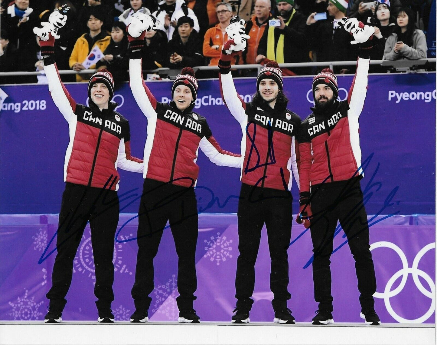 Auto. Cournoyer + Dion + Girard + Charles Hamelin Short Track Speed Skating 8x10