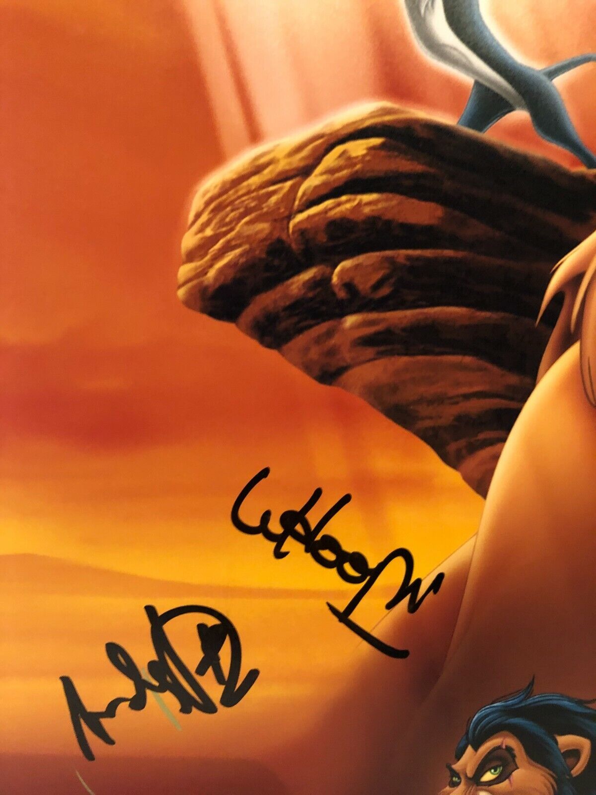Autographe du Roi Lion signé 11x14 JSA Whoopi Goldberg Andy Dick