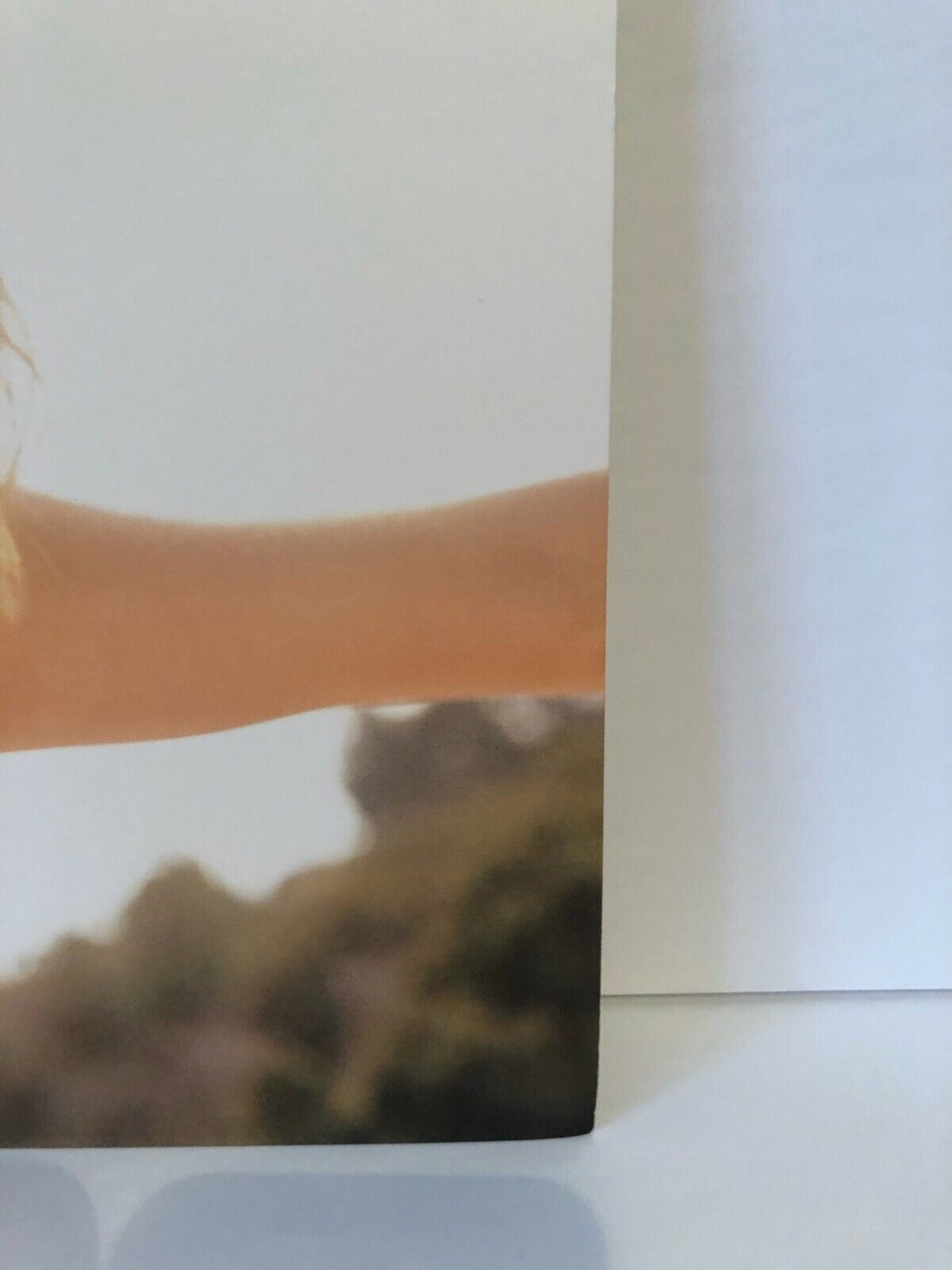 Autographed Silver Linings Vinyl Signed by Mandy Moore LP with JSA cert
