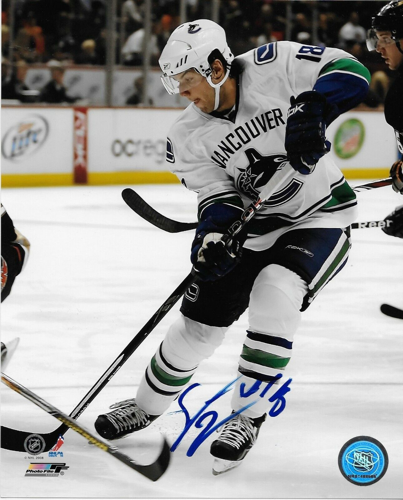 Photo autographiée de Steve Bernier des Canucks de Vancouver 8x10