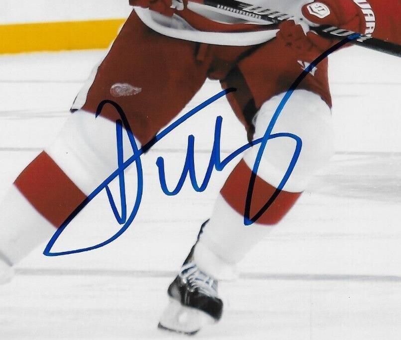 Autographed Detroit Red Wings Dan Cleary 8x10 Photo Original