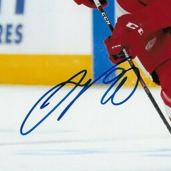 Photo 8x10 autographiée par Joe Veleno des Red Wings de Détroit #2