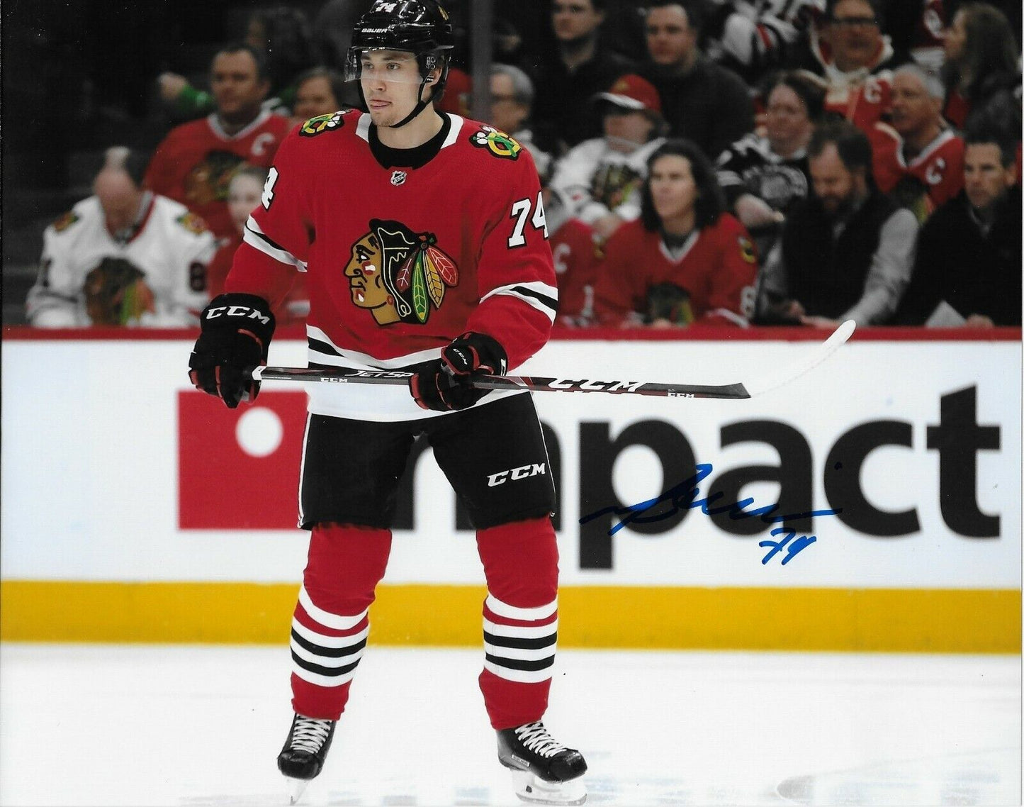 Autographed Chicago Blackhawks Nicolas Beaudin 8x10 Photo #2 Original