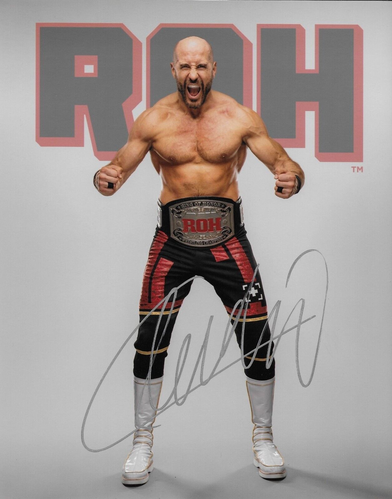 Photo autographiée de lutte de Cesaro Claudio Castognoli signée AEW 8x10 1 Original