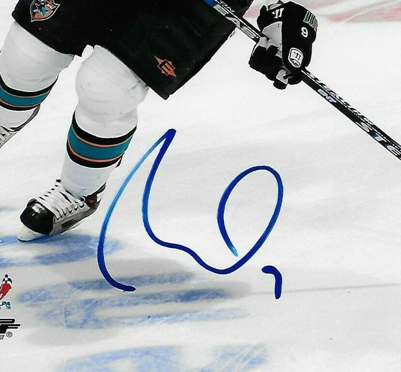 Photo 8x10 autographiée de Milan Michalek des Sharks de San Jose n°1 originale