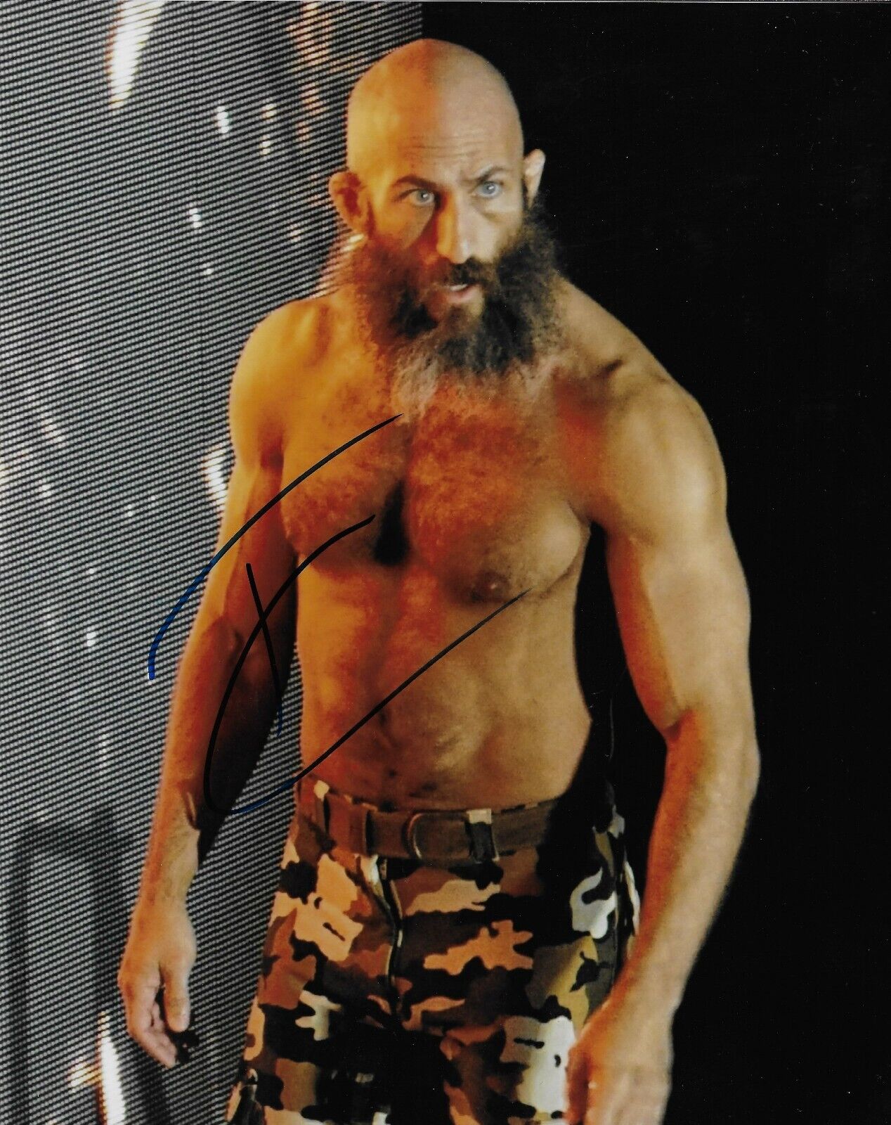 Photo autographiée de Tommaso Ciampa Wrestling WWE NXT 8x10 #1 Original
