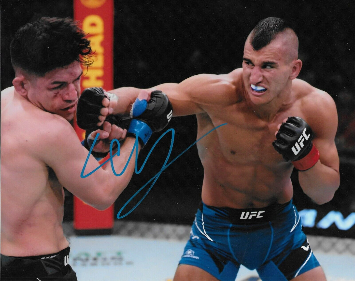 Photo autographiée 8x10 de Natan Levy UFC MMA n°1 originale