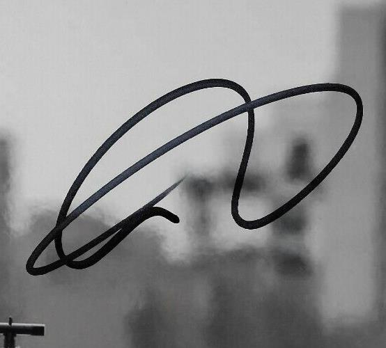 Photo autographiée 8x10 signée Romain Grosjean Formule 1 Haas Racing #7 Original
