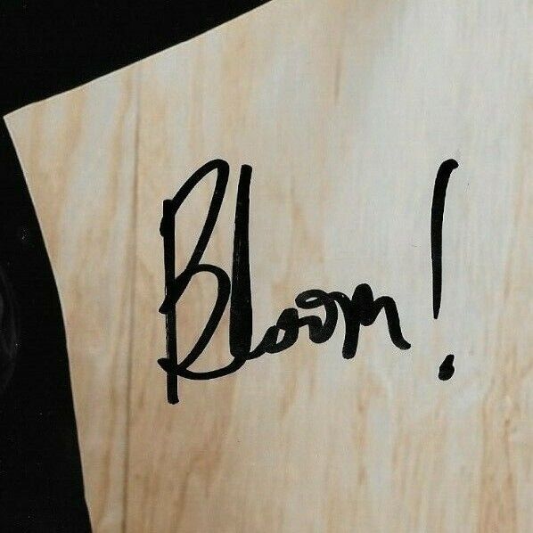 Signed Rachel Bloom Comedian Actress Autographed 8x10 Photo #4 Original