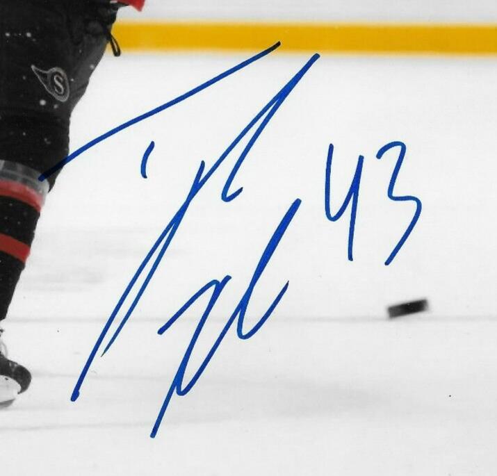 Signed Tyler Kleven Ottawa Senators Autographed 8x10 Photo #1 Original