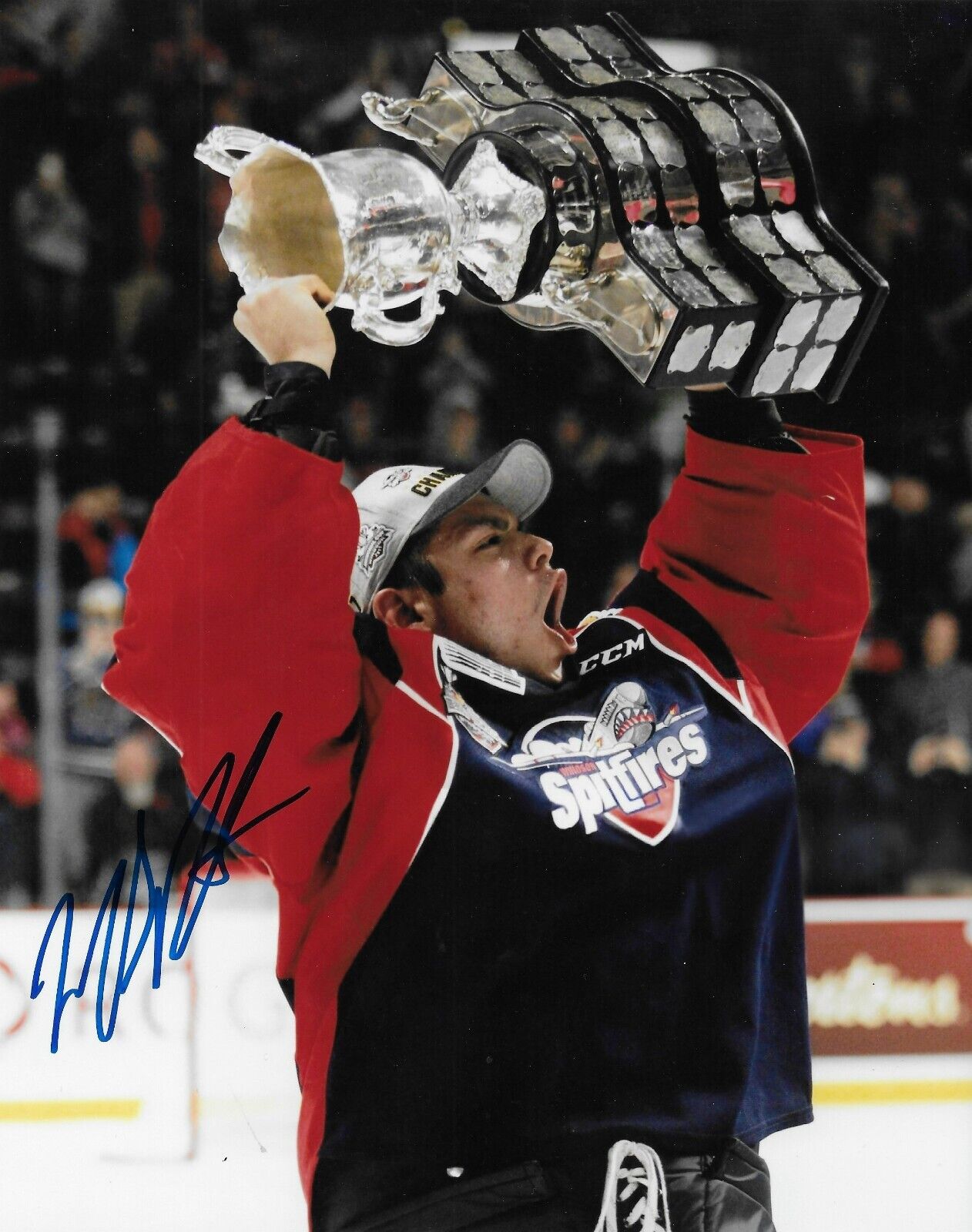 Signed Michael DiPietro Boston Bruins Windsor Spitfires 8x10 Photo #2 Original