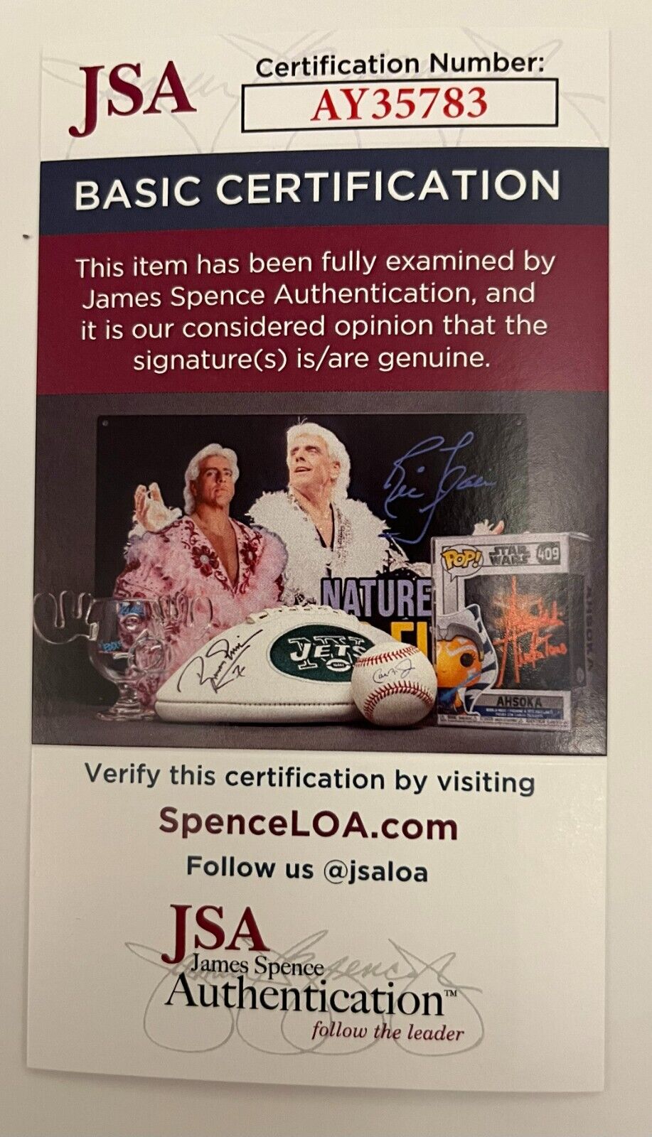 Signed Gena Lee Nolin Actress Model Baywatch 11x14 Photo #3 JSA Authentication