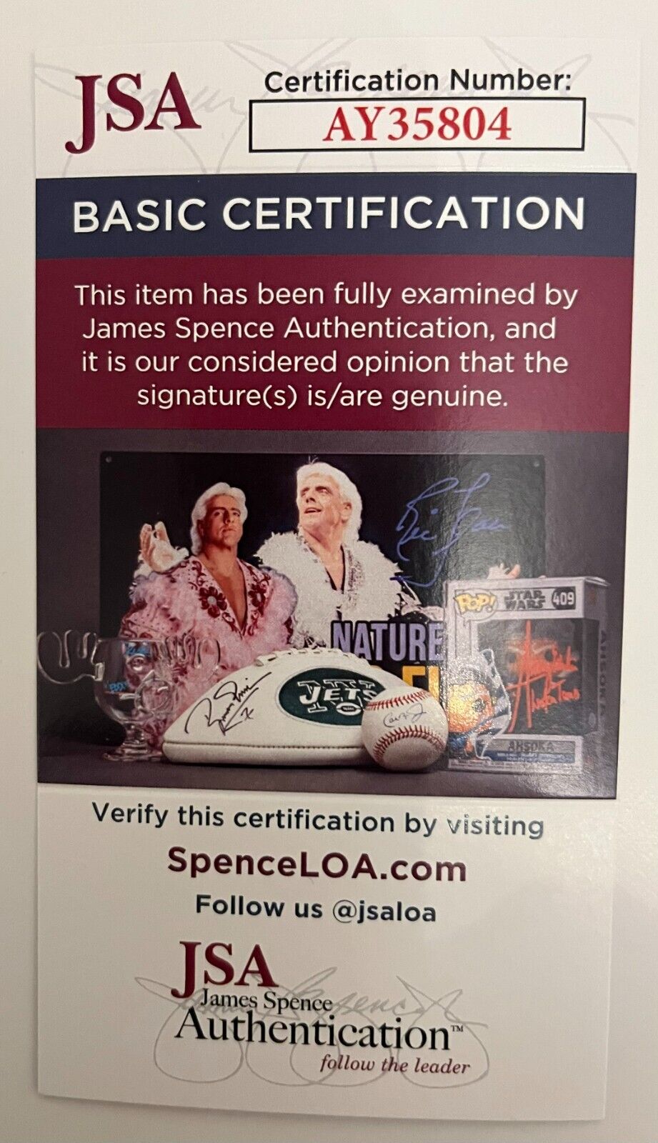 Signed Nicole Eggert Actress Model Sheena 12x18 Photo #5 JSA Authentication