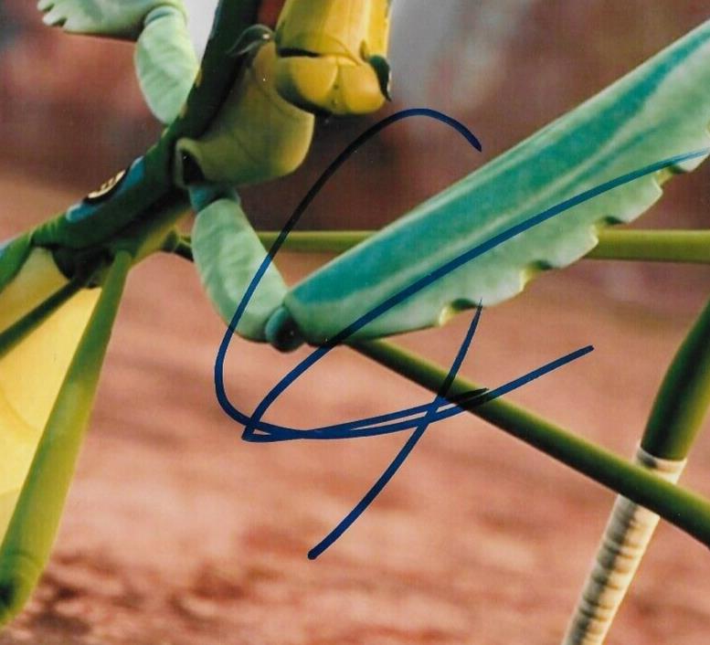 Signed Seth Rogen Kung Fu Panda Mantis Autographed 8x10 Photo #2 Original