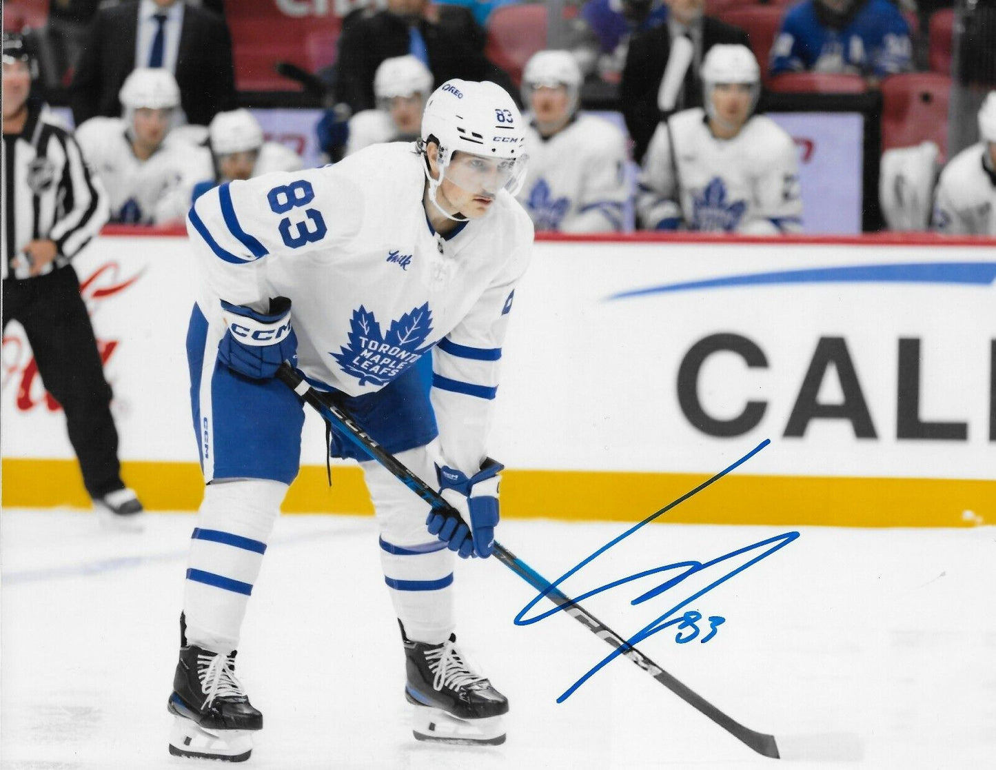 Signed Marshall Rifai Toronto Maple Leafs 8x10 Photo #2 AHL Marlies Original