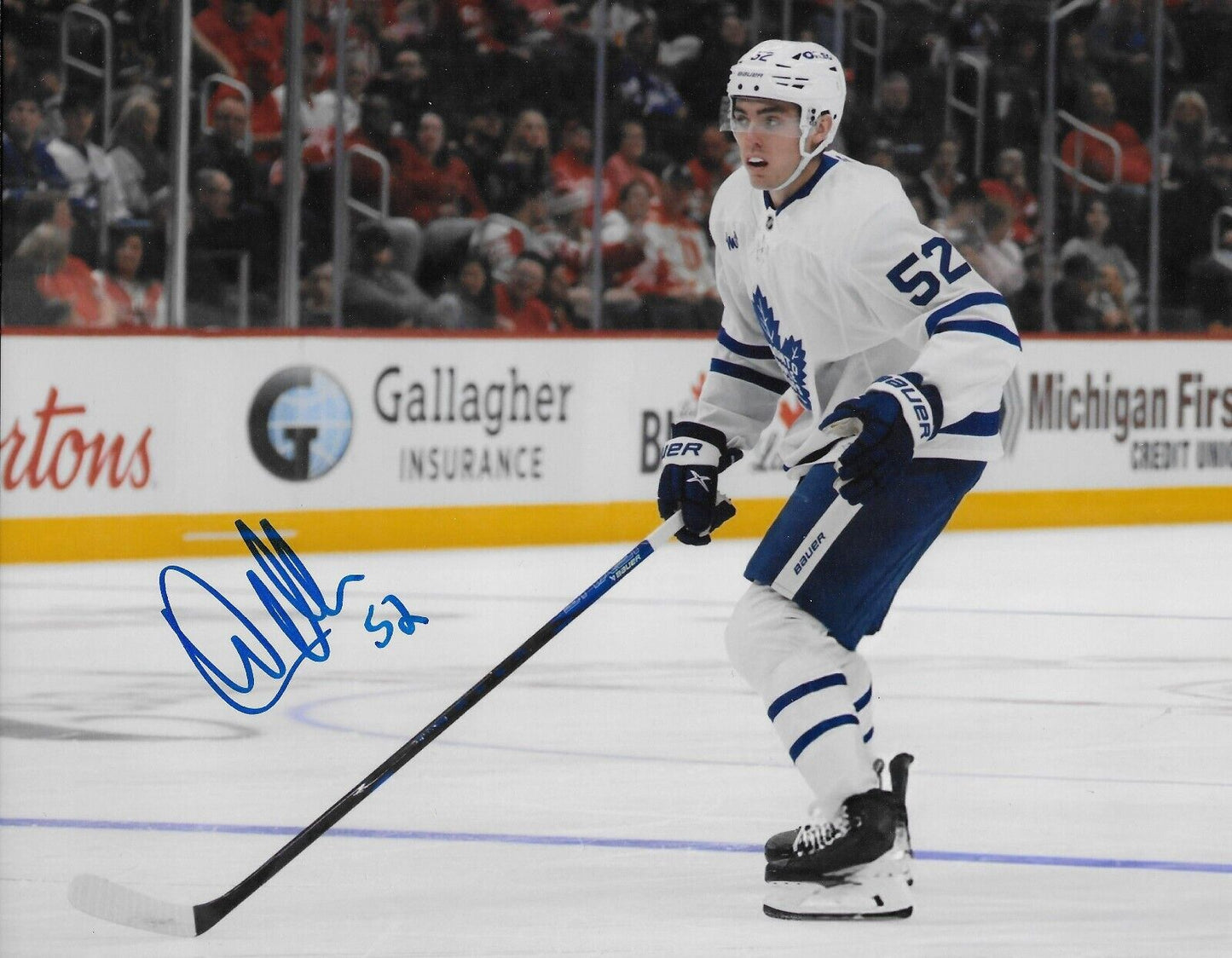 Signed Cade Webber Toronto Maple Leafs 8x10 Photo #2 AHL Marlies Original