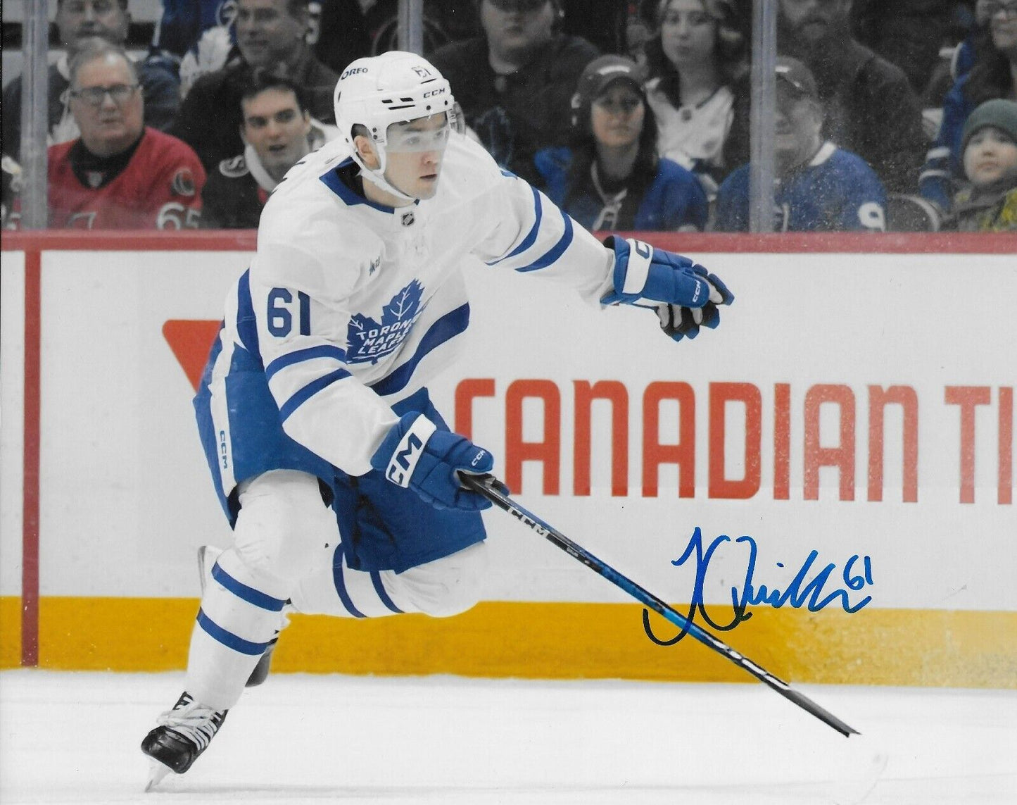 Signed Jacob Quillan Toronto Maple Leafs 8x10 Photo #2 AHL Marlies Original