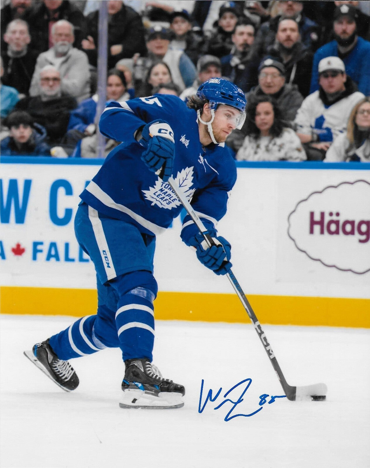 Signed William Lagesson Toronto Maple Leafs 8x10 Photo #1 AHL Marlies Original