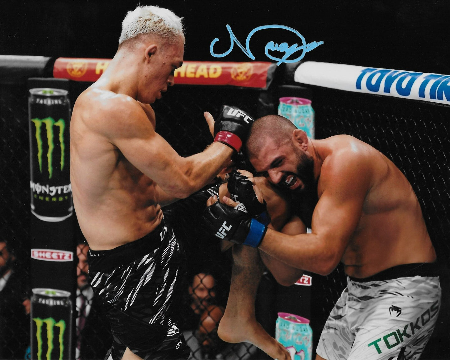 Signed Navajo Stirling UFC MMA Autographed 8x10 Photo #2 Original