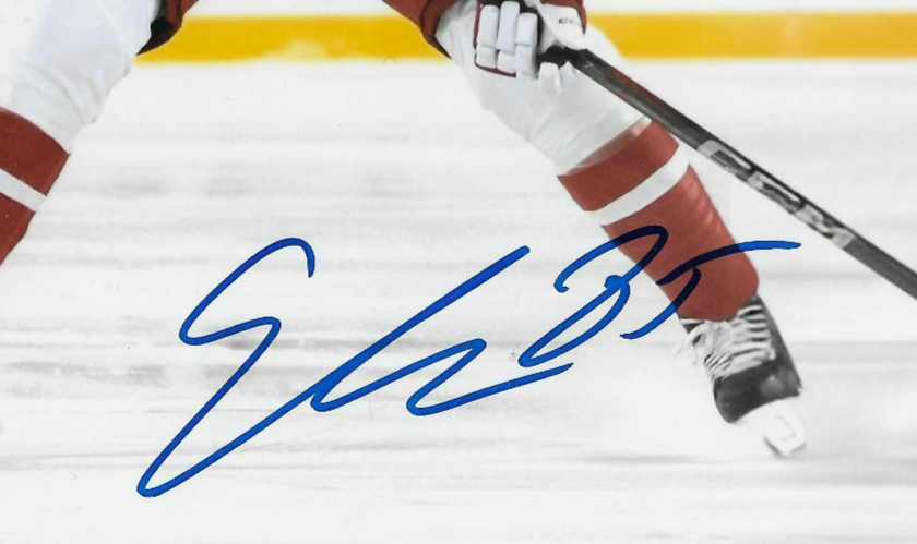 Signed Elmer Soderblom Detroit Red Wings Autographed 8x10 Photo #1 Original