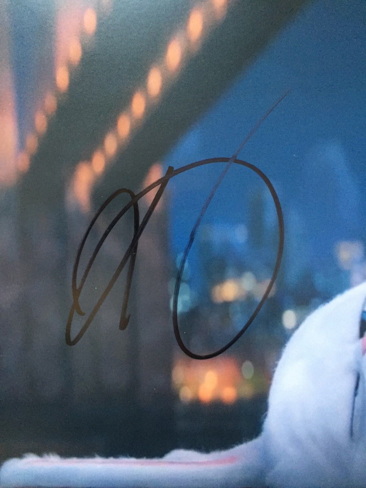 Autographed Kevin Hart signed The Secret Life of Pets 11x14 w/JSA