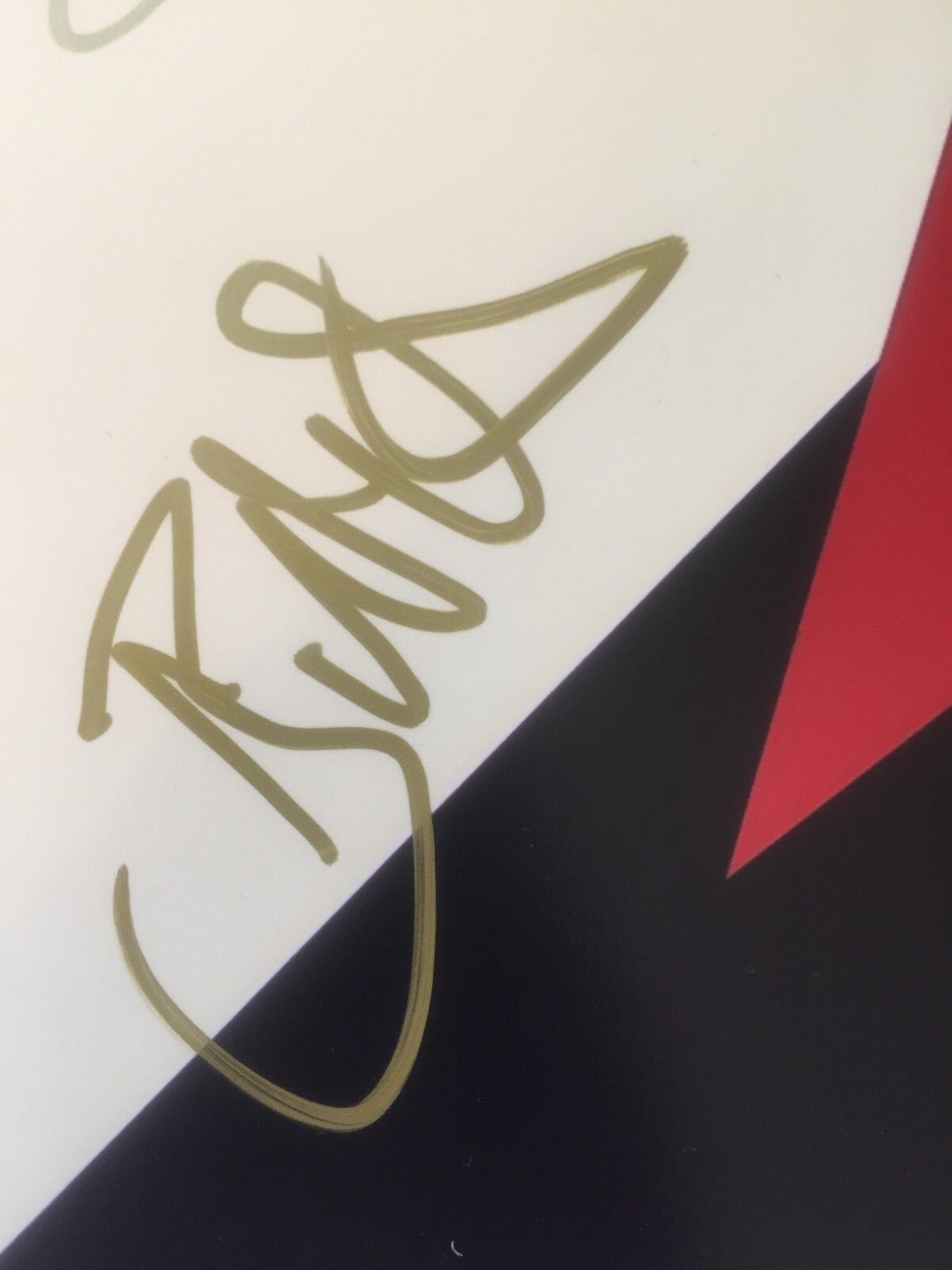 Autographed Prophets of Rage signed Gatefold 12x12 PHOTO Original