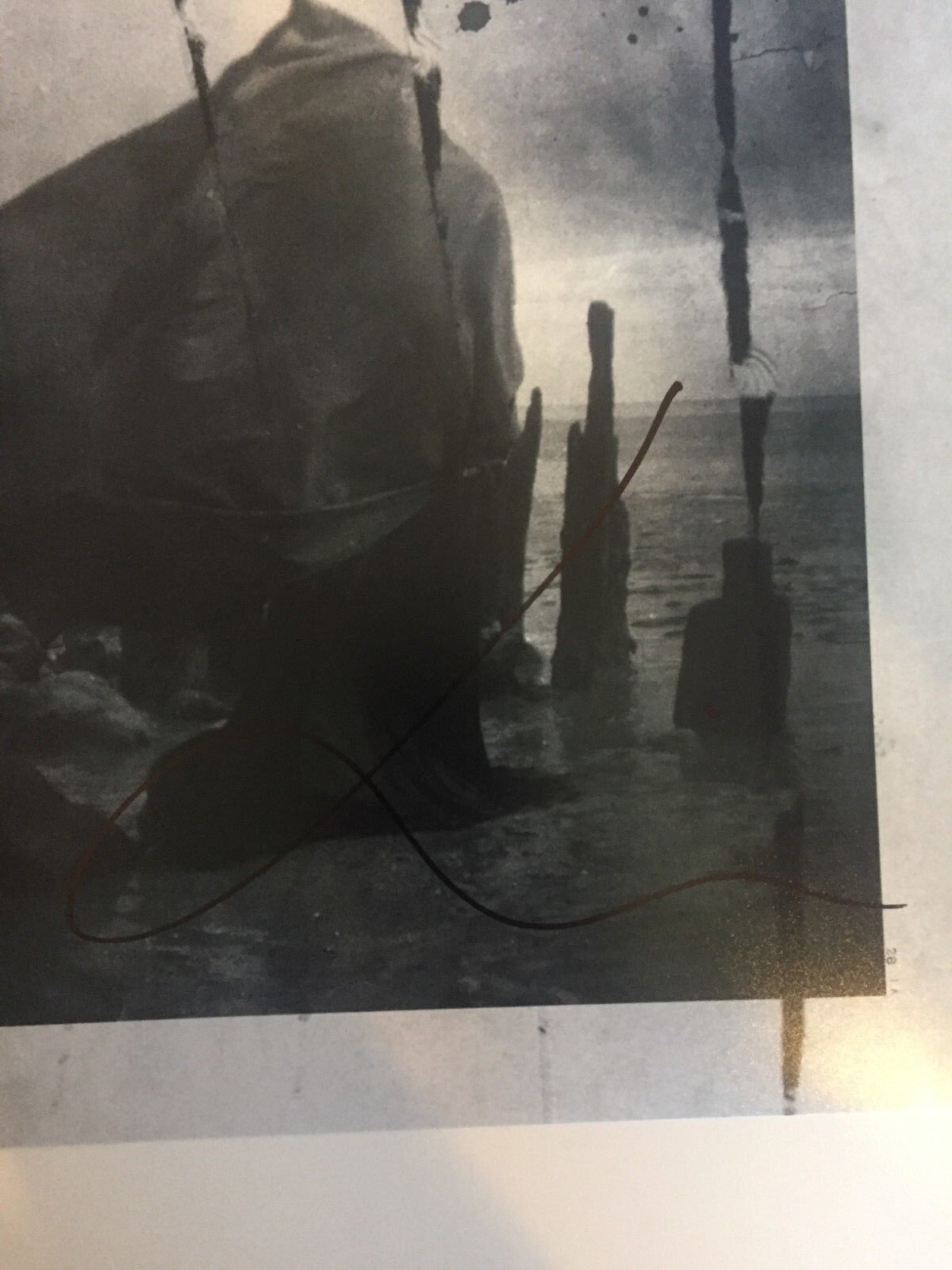 Autographed Lykke Li signed 12x12 photo Wounded Rhymes