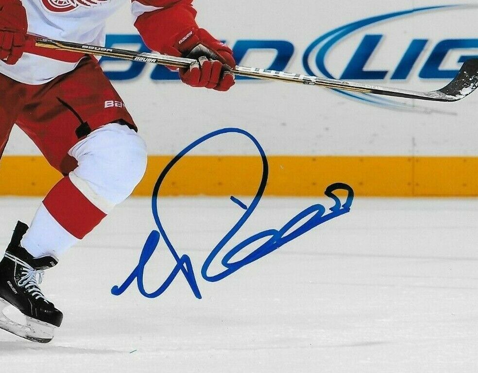 Autographed Detroit Red Wings Valtteri Filppula 8x10 Photo #2 Original
