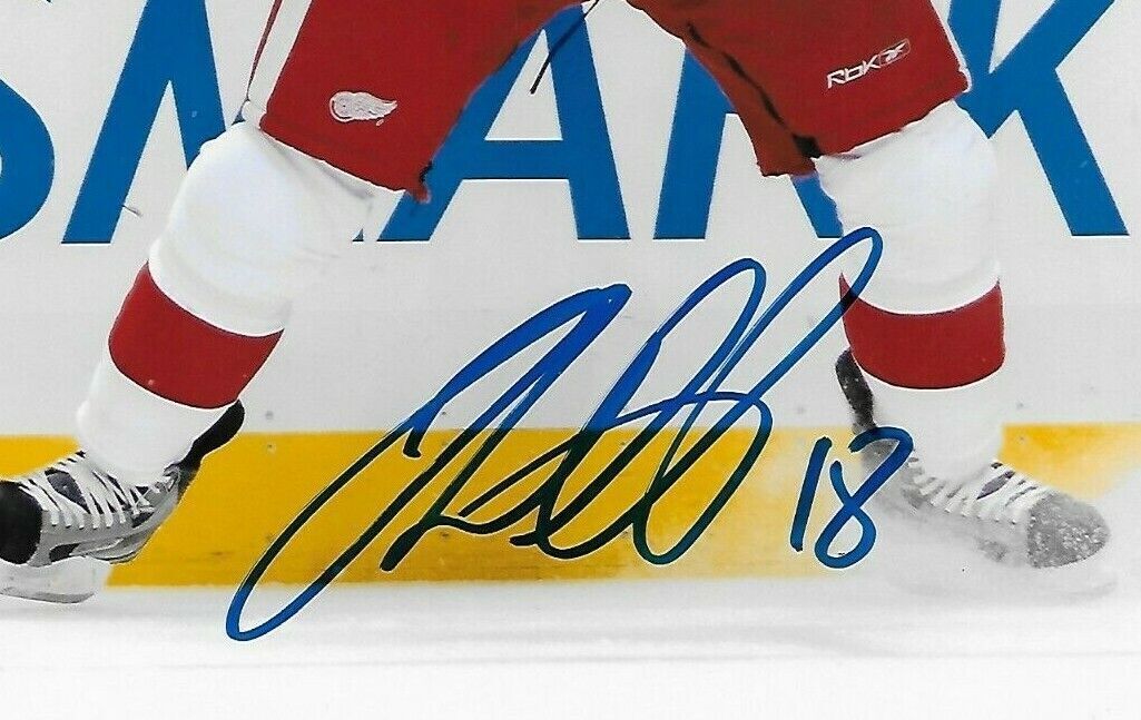 Photo autographiée de Ian White des Red Wings de Detroit 8x10 originale