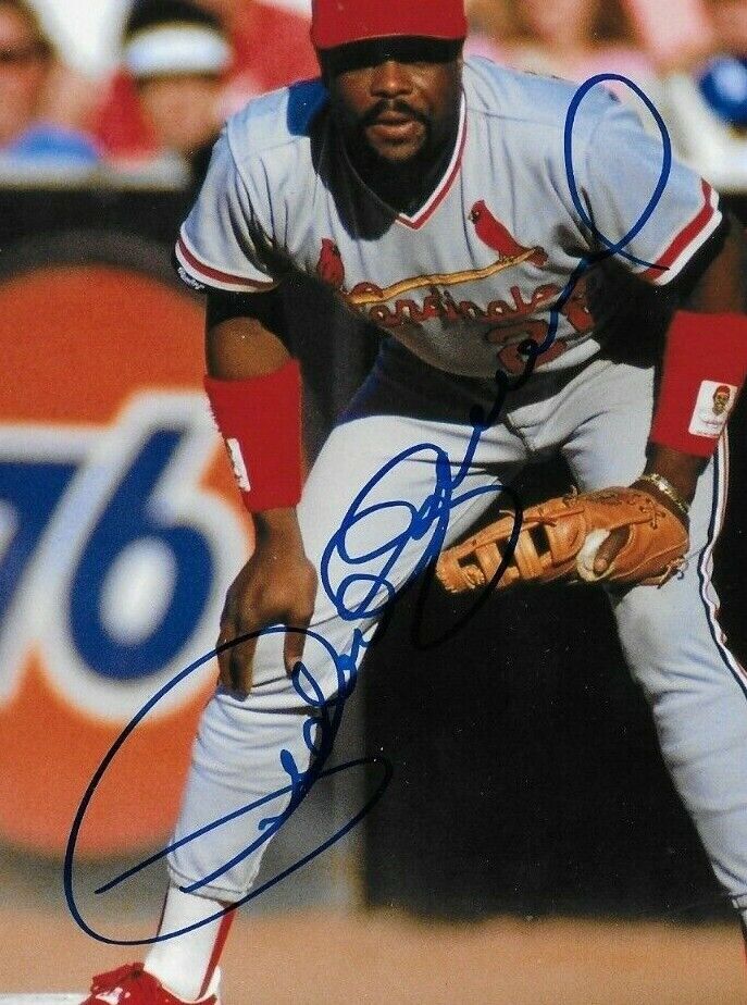 Autographed St. Louis Cardinals Pedro Guerrero 8x10 Photo Original