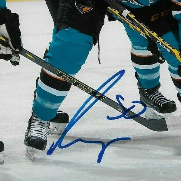 Photo autographiée de Chris Tierney et Matt Irwin des Sharks de San Jose 8x10