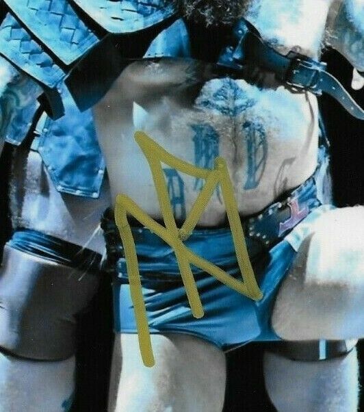 Autographié Wrestling Viking Raiders Erik & Ivar Signé WWE 8x10 Ph. #2 Original