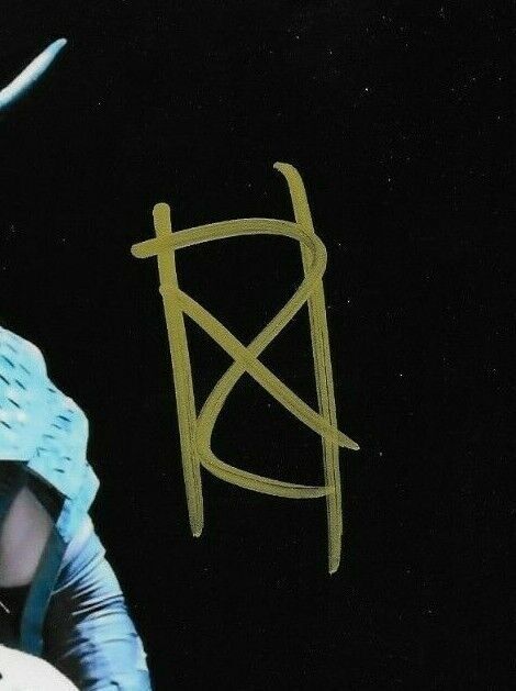Autographié Wrestling Viking Raiders Erik & Ivar Signé WWE 8x10 Ph. #2 Original
