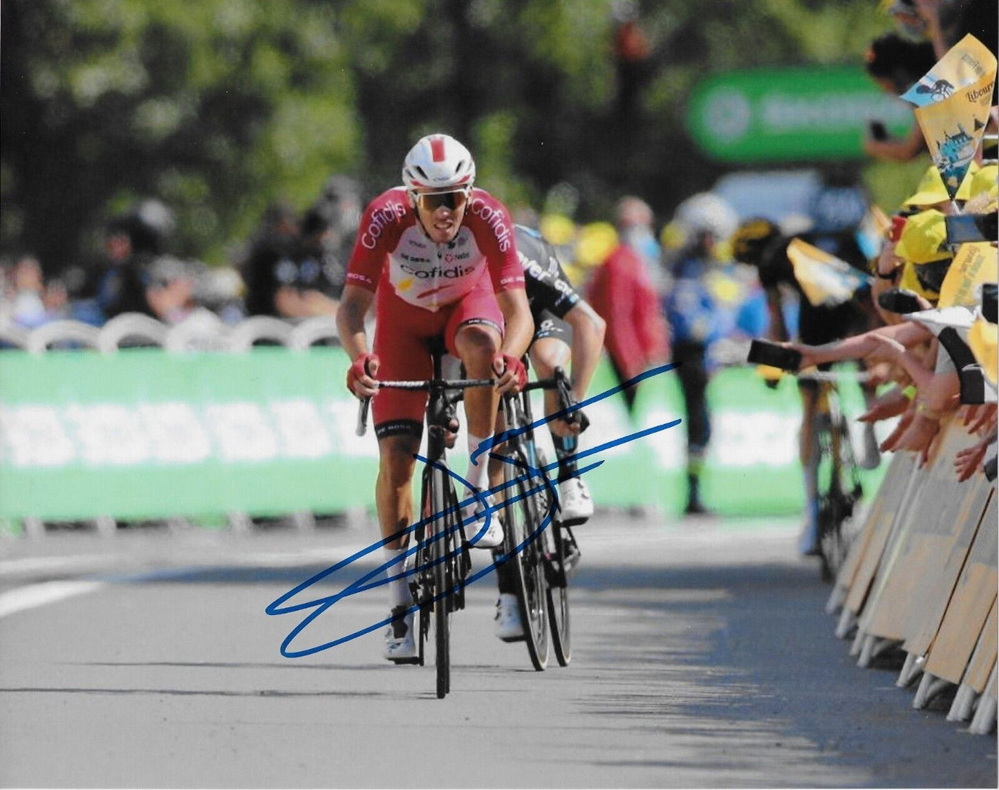 Autographed Cycling Christophe Laporte Cofidis Racing 8x10 Photo #4 Original