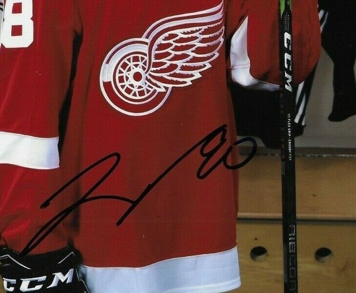 Photo 8x10 autographiée par Joe Veleno des Red Wings de Détroit #1