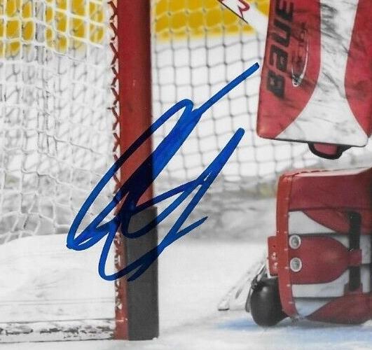 Autographed Ottawa Senators Kevin Mandolese Belleville Sens 8x10 Photo #4