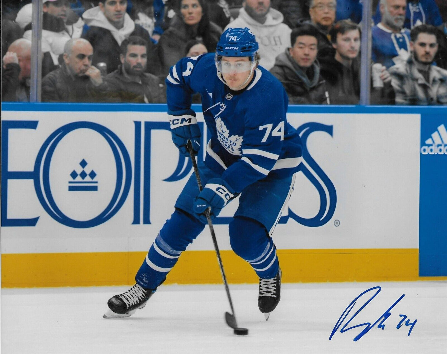 Photo autographiée 8x10 de Bobby McMann des Maple Leafs de Toronto #3 originale