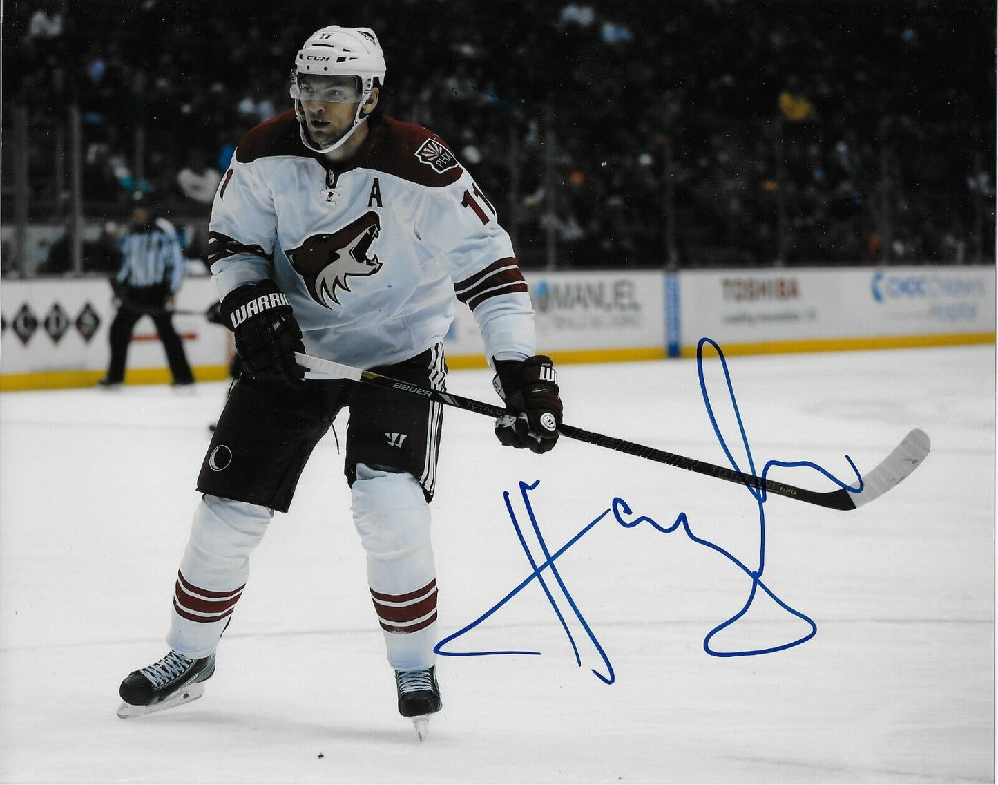 Photo autographiée 8x10 de Martin Hanzal des Coyotes de l'Arizona n°1