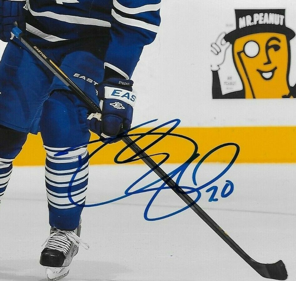 Signed David Steckel Toronto Maple Leafs Autographed 8x10 Photo #1 Original