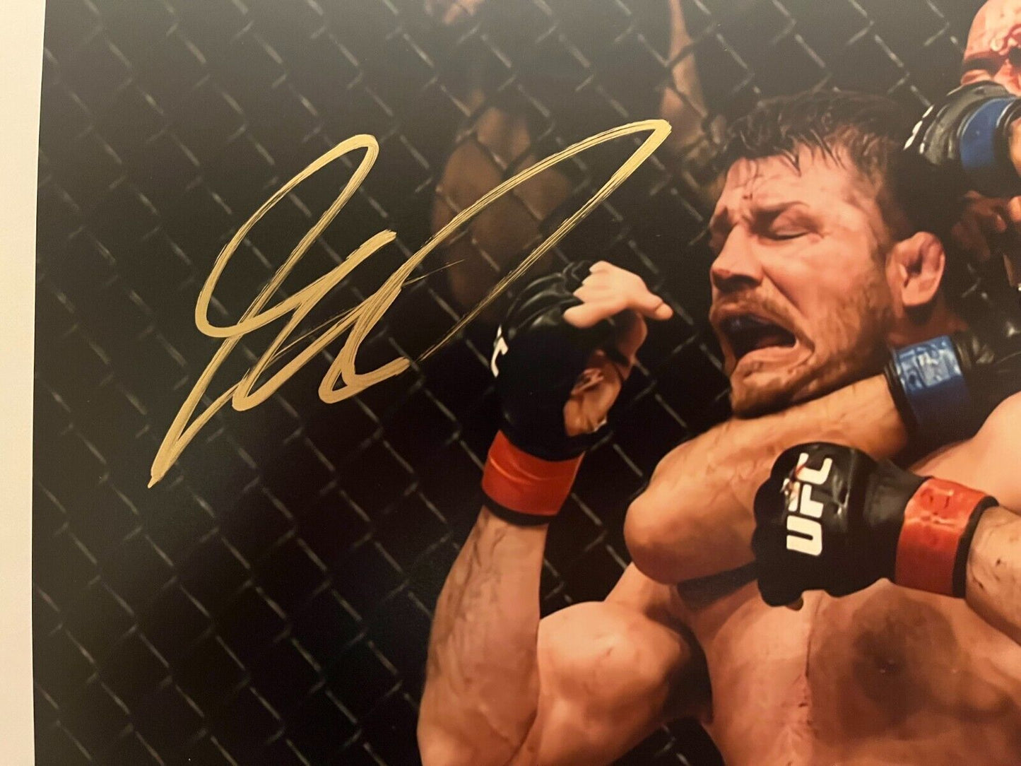 Autographed Georges St Pierre signed UFC 11x14 Photo JSA Cert