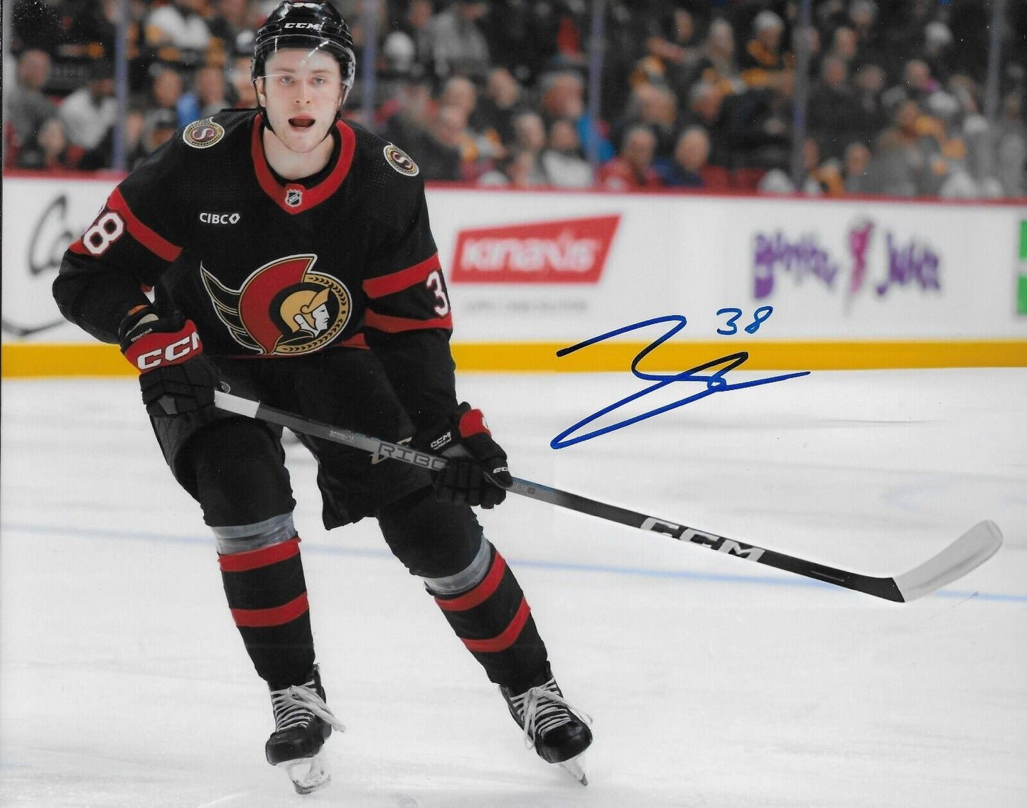 Photo originale 8x10 signée Zack Ostapchuk Sénateurs d'Ottawa Sens de Belleville #2