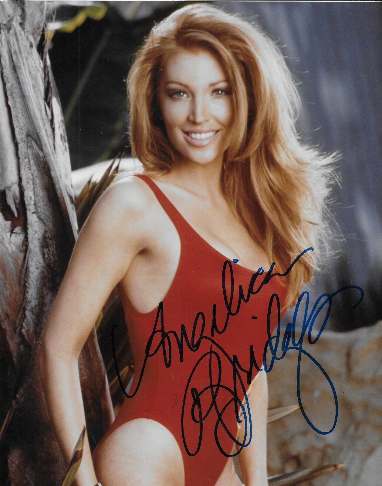 Angelica Bridges, actrice, mannequin, Baywatch, dédicacée, photo 8x10, 3 photos originales