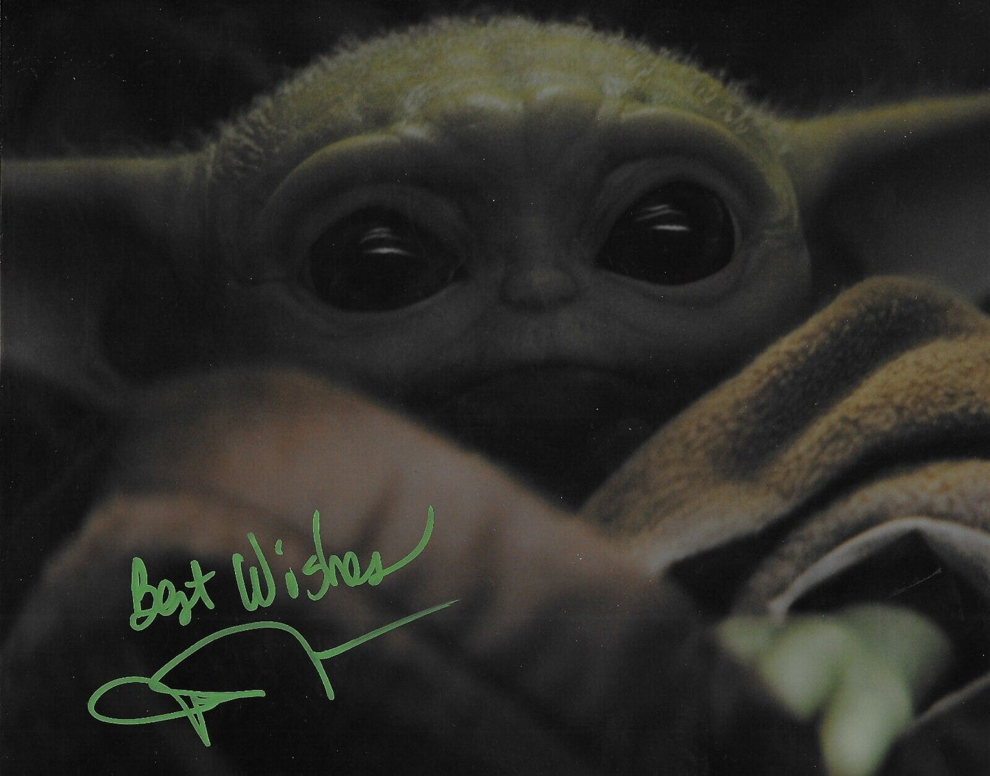 Signed John Rosengrant Star Wars Baby Yoda Autographed 8x10 photo #6 Original
