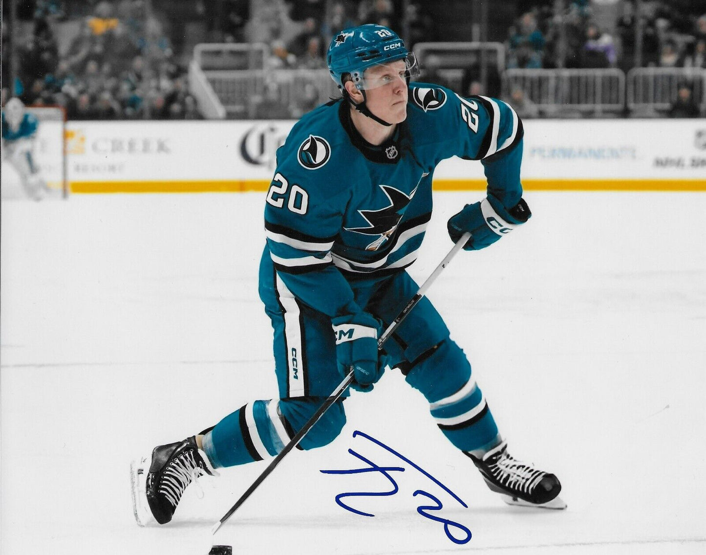 Signed Fabian Zetterlund San Jose Sharks Autographed 8x10 Photo #1 Original
