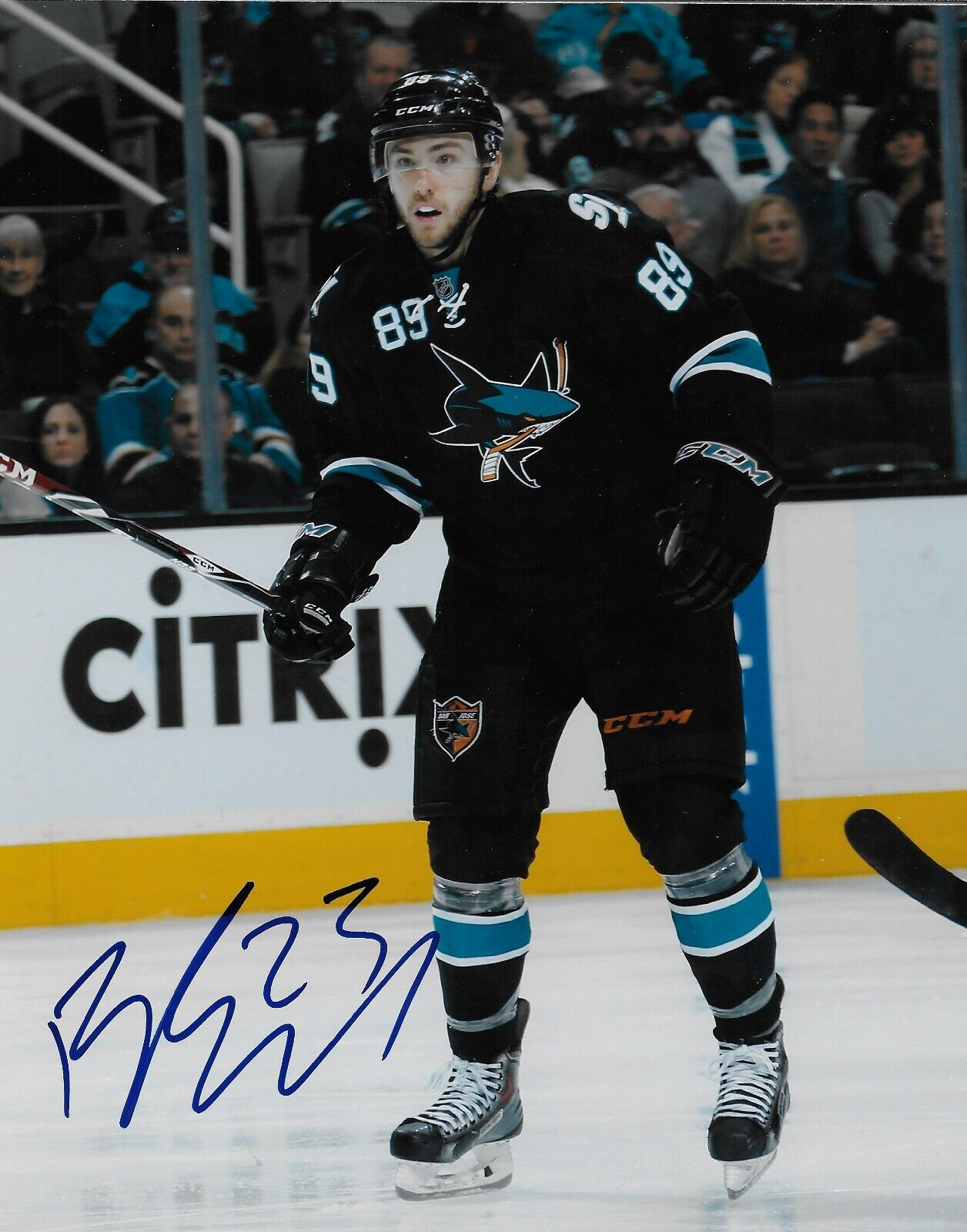 Signed Barclay Goodrow San Jose Sharks Autographed 8x10 Photo #1 Original