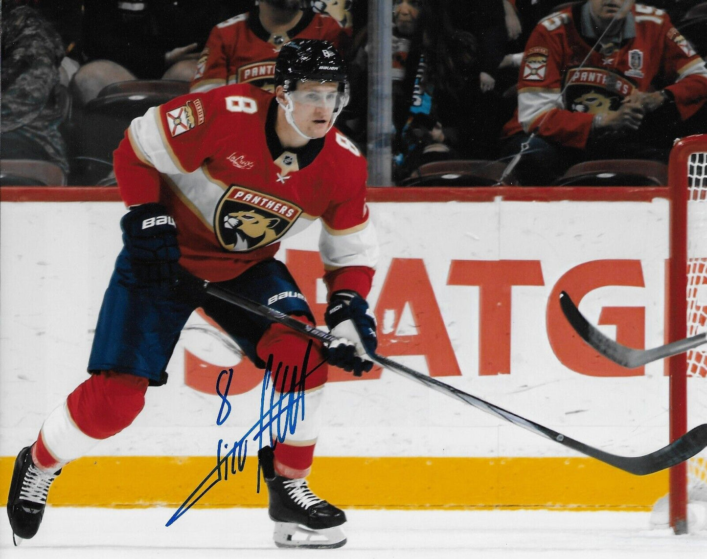 Signed Nico Sturm Florida Panthers Autographed 8x10 Photo #1 Original