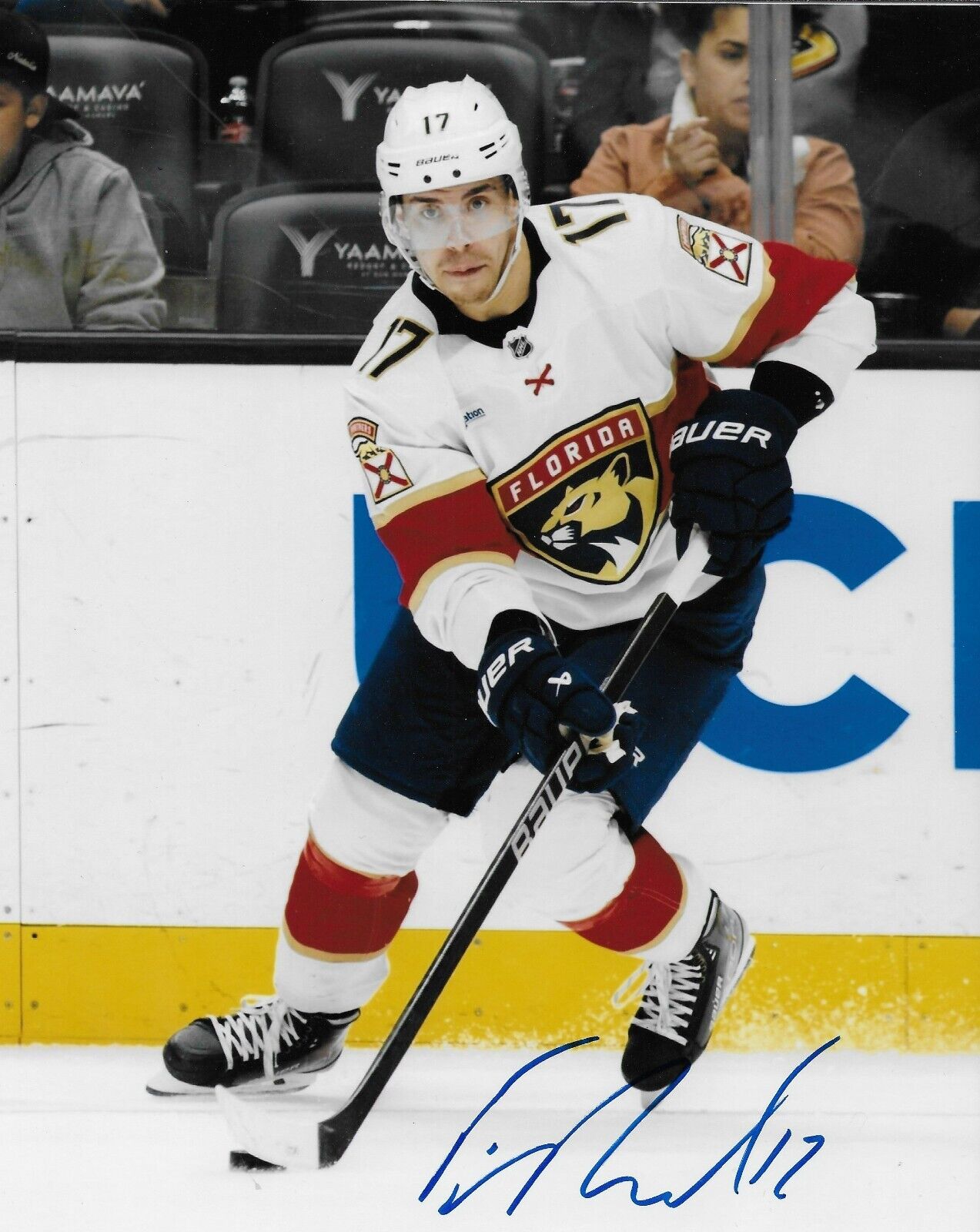 Signed Evan Rodrigues Florida Panthers Autographed 8x10 Photo #3 Original