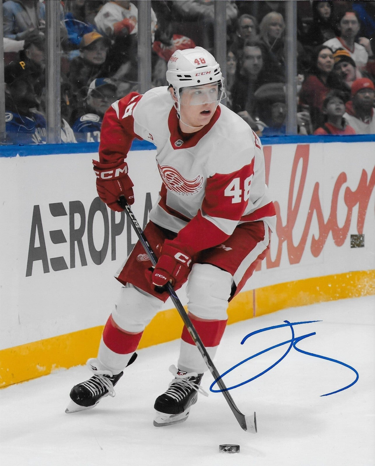 Signed Jonatan Berggren Detroit Red Wings 8x10 Photo #1 Original